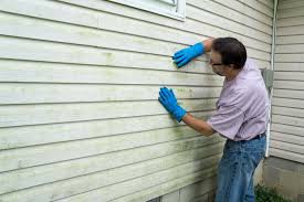 Best Siding Painting and Refinishing  in Edwards Af, CA